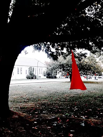 Missing and Murdered Indigenous Women